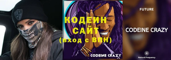 мдпв Козельск