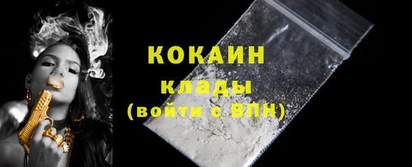 мдпв Козельск