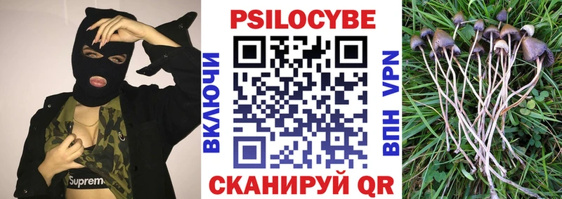 Купить где  Партизанск  Псилоцибиновые грибы Psilocybine cubensis 
